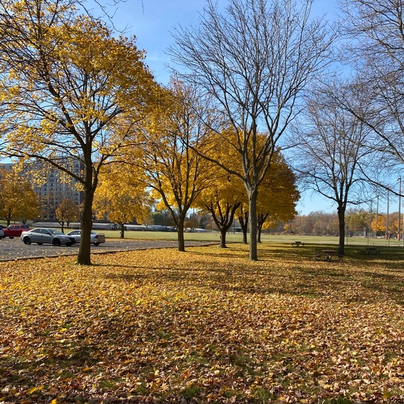 Meet your Posher, Vivian - Picture 1 of 1